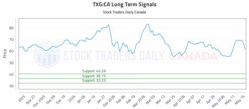 Stock Chart for TXG:CA
