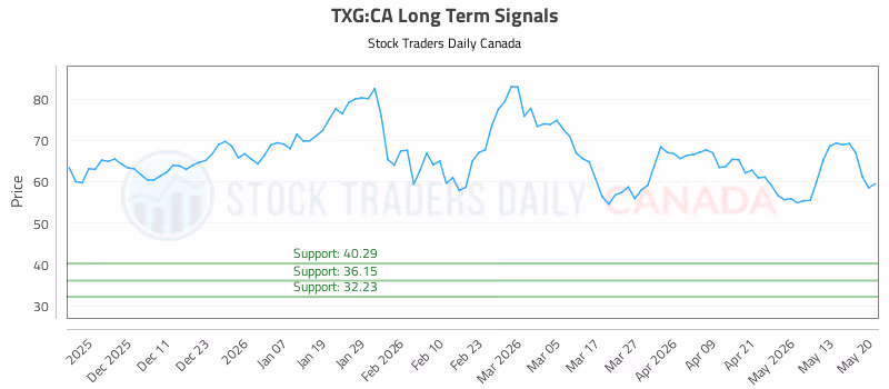 Stock Chart for TXG:CA