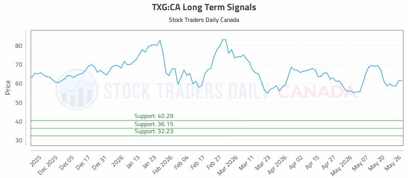Stock Chart for TXG:CA