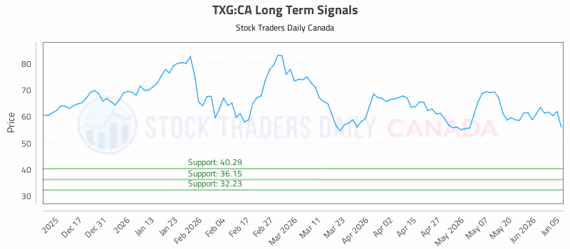 Stock Chart for TXG:CA