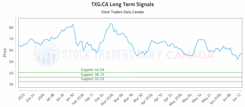 Stock Chart for TXG:CA
