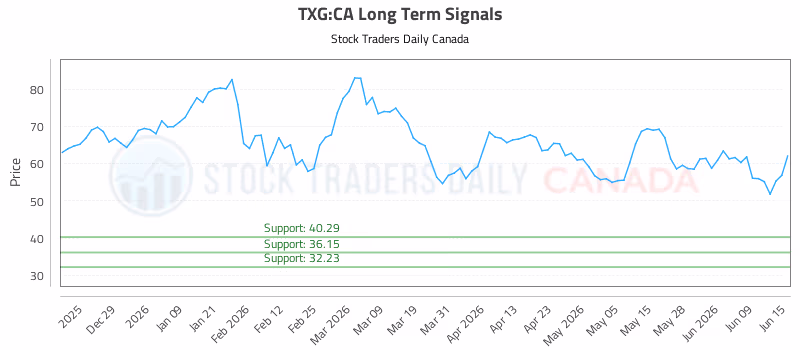 Stock Chart for TXG:CA