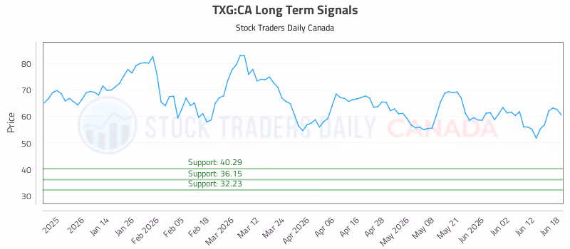 Stock Chart for TXG:CA