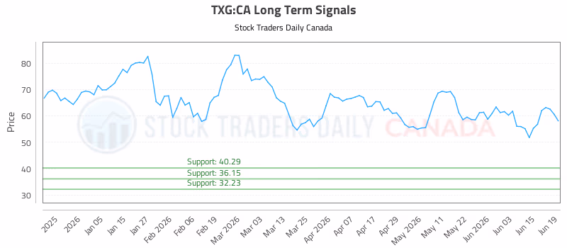 Stock Chart for TXG:CA