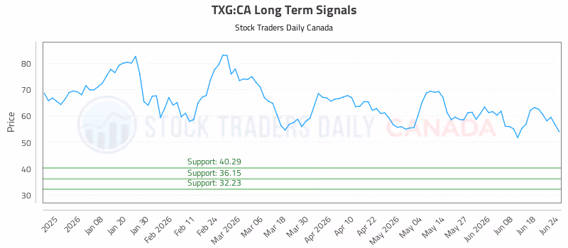 Stock Chart for TXG:CA