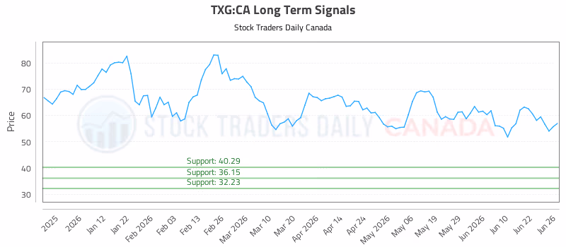 Stock Chart for TXG:CA