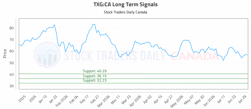 Stock Chart for TXG:CA
