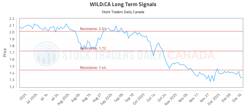Wild Risk (WILD) Risk-Controlled Trading Report