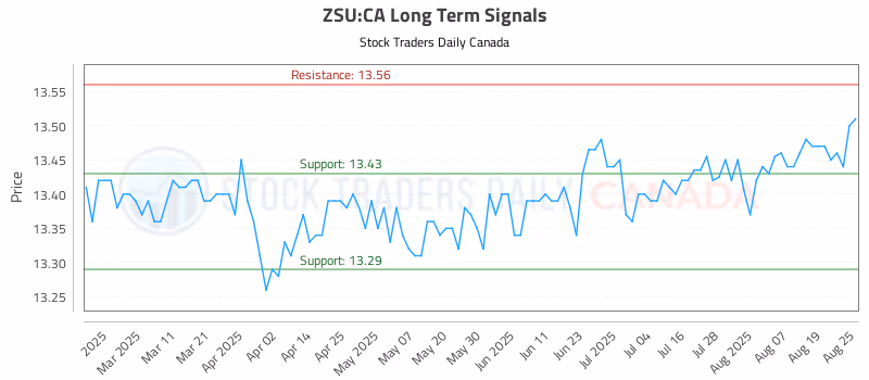 Stock Chart for ZSU:CA